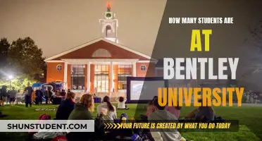 Bentley University's Student Population: How Many Are There?