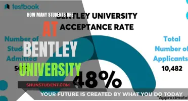 Bentley University's Student Population: A Comprehensive Overview