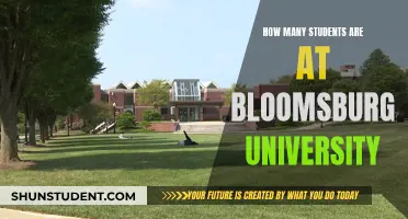 Bloomsburg University: A Student Population Overview