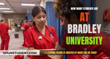 Exploring Enrollment: Bradley University's Student Population