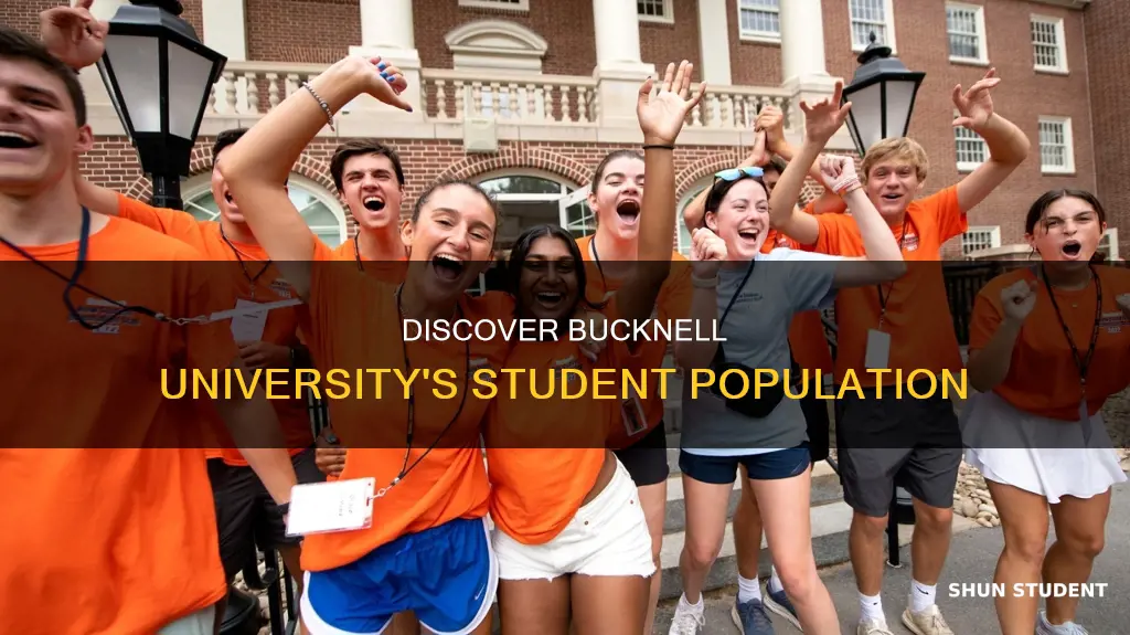 how many students are at bucknell university