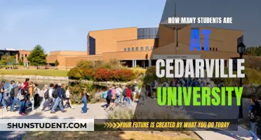 Cedarville University: A Student-Centric Community of ..