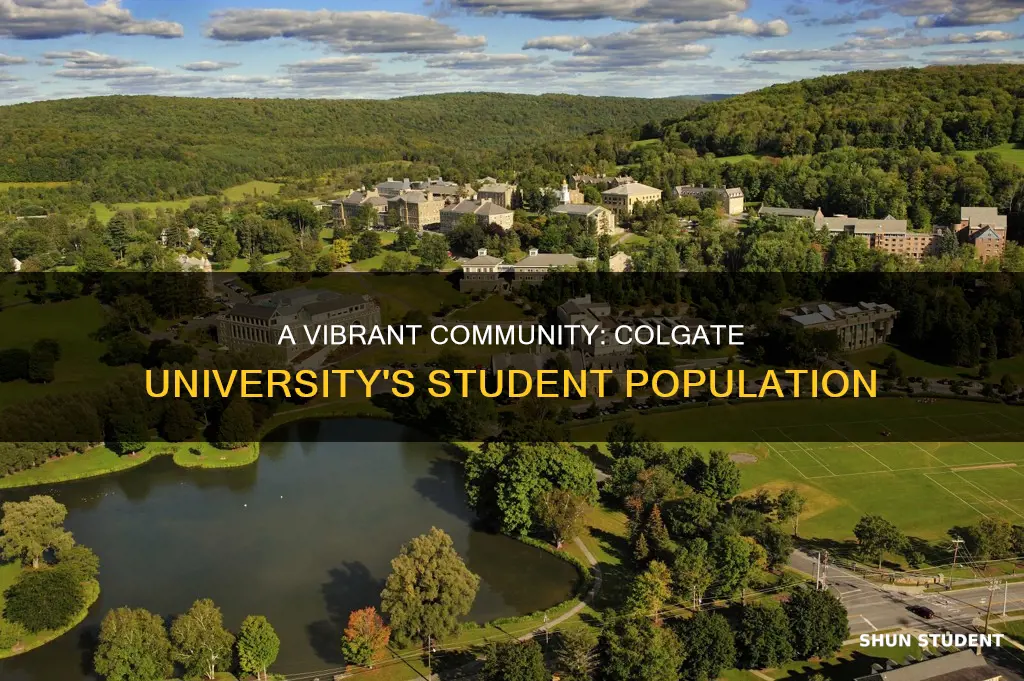 how many students are at colgate university