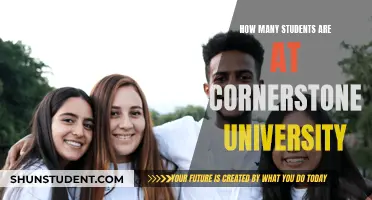 A Thriving Student Community at Cornerstone University