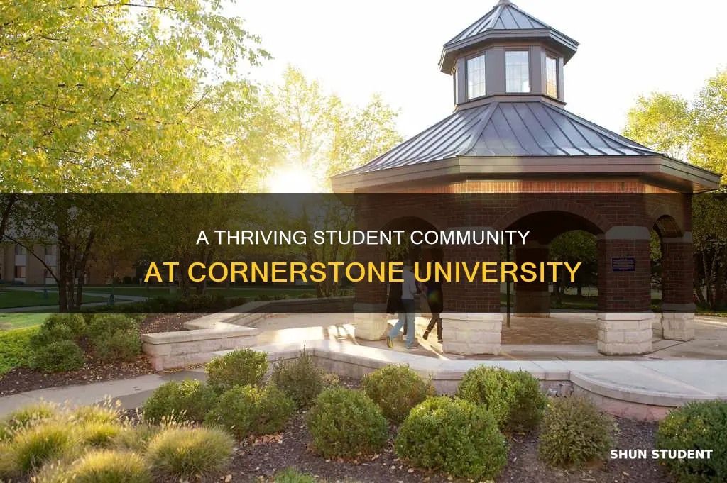how many students are at cornerstone university