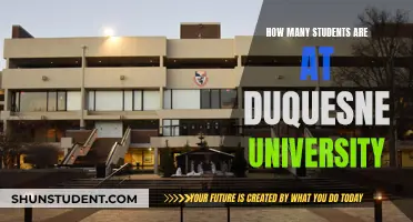 Duquesne University Student Population: How Many Are There?