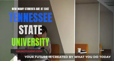 Exploring East Tennessee State University's Student Population