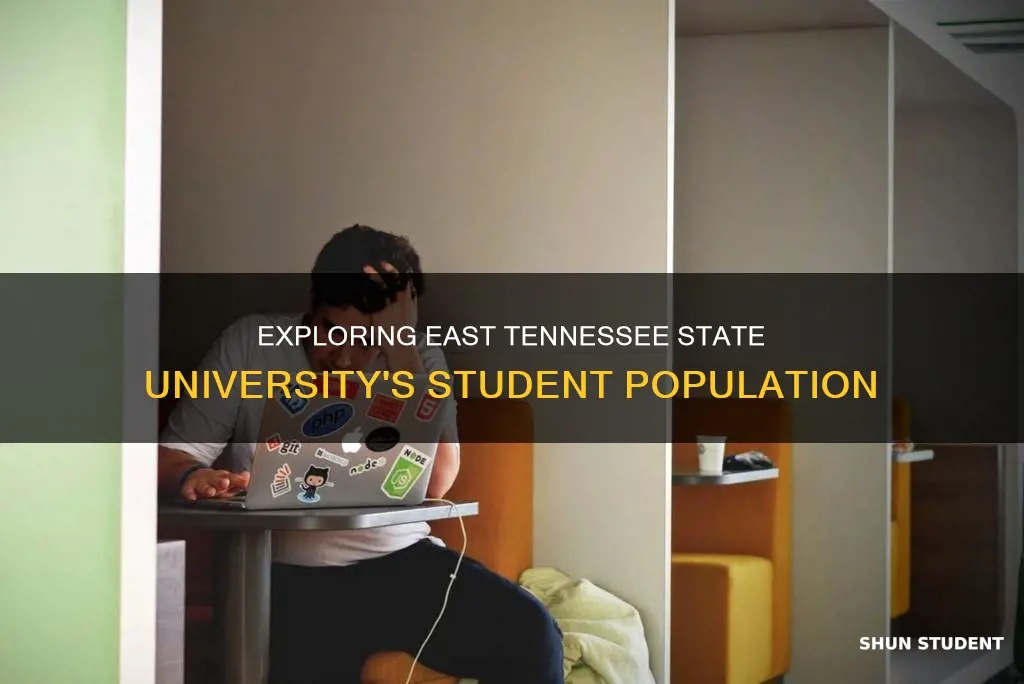 how many students are at east tennessee state university