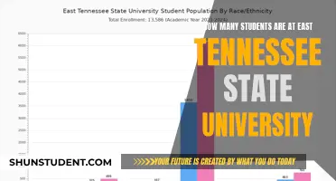 Exploring East Tennessee State University's Student Population