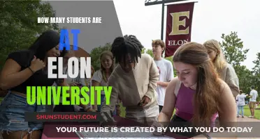 Exploring Elon University's Student Population