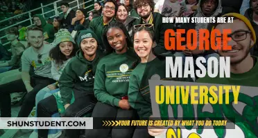 Mason Student Population: How Many?