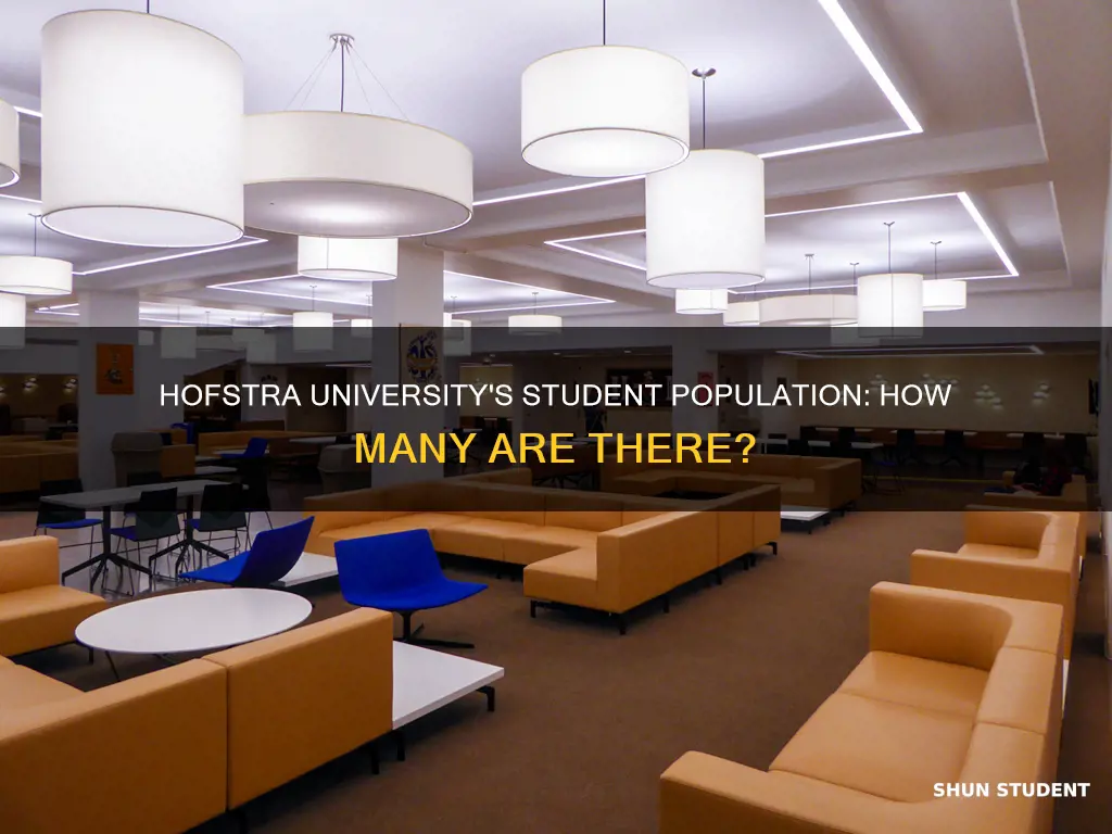 how many students are at hofstra university