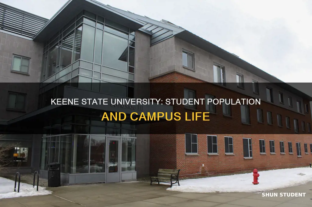 how many students are at keene stte university