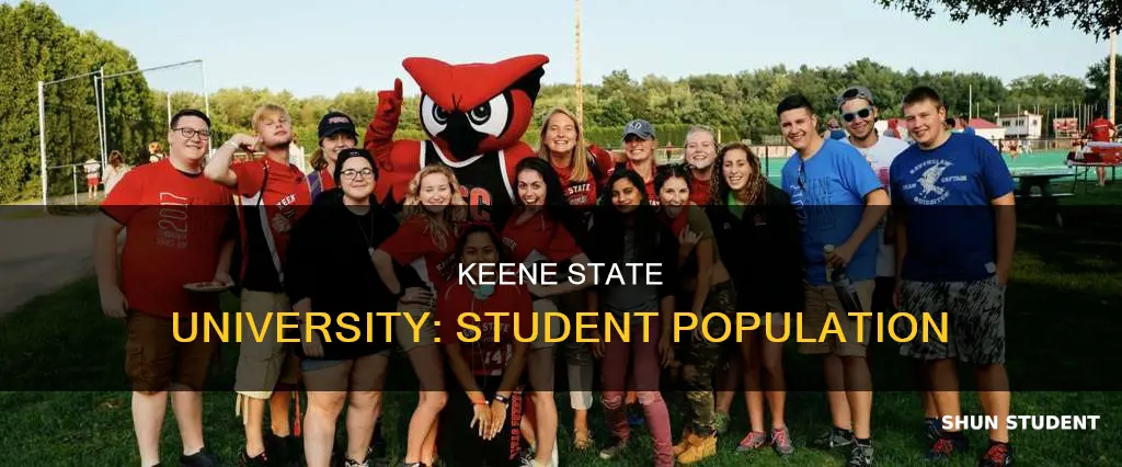 how many students are at keene stte university