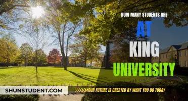 King University's Student Population: A Comprehensive Overview