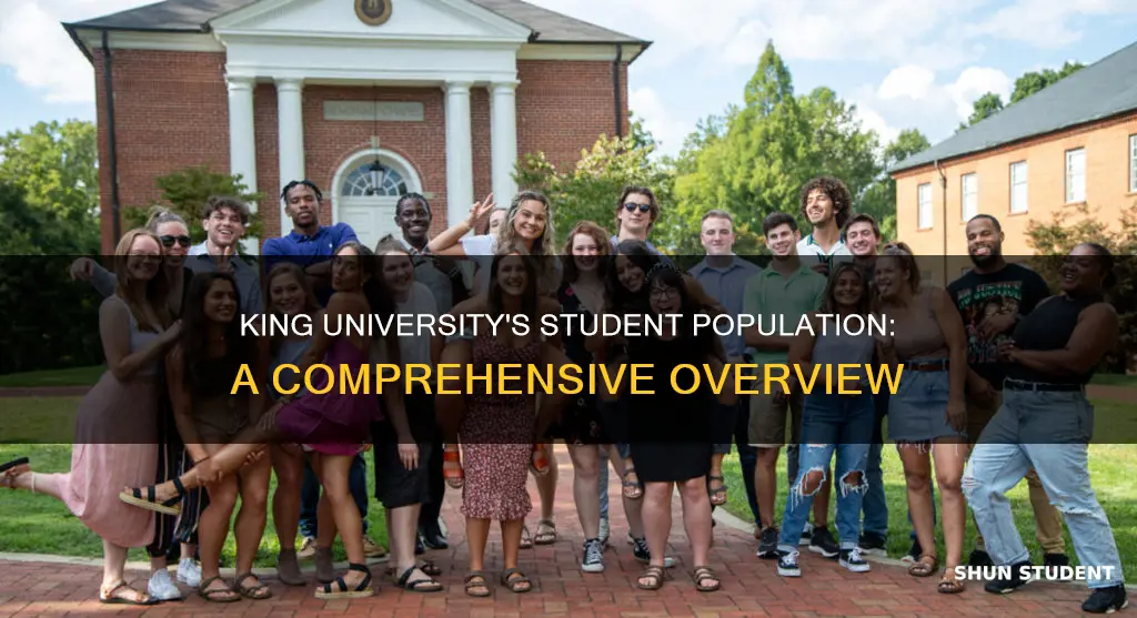 how many students are at king university
