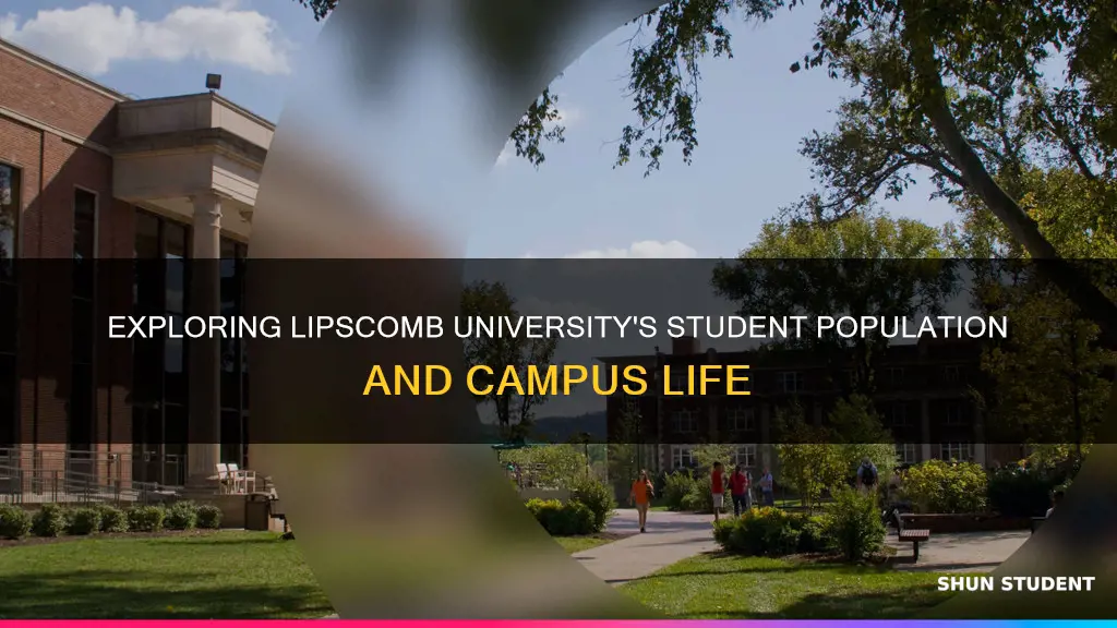 how many students are at lipscomb university