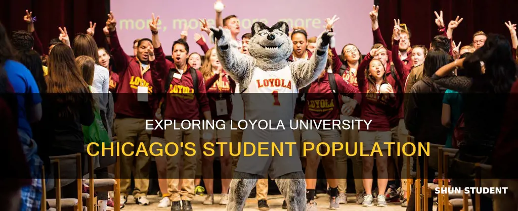 how many students are at loyola university chicago