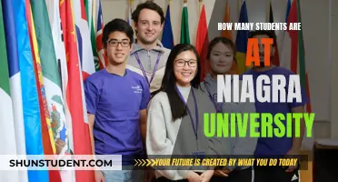 Exploring Student Life at Niagra University: Enrollment Numbers Revealed