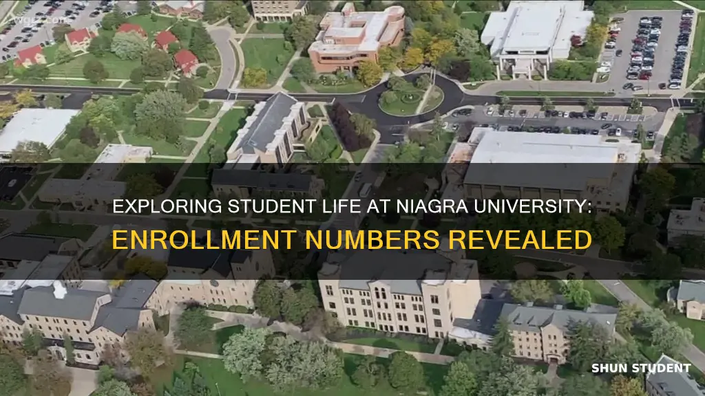 how many students are at niagra university