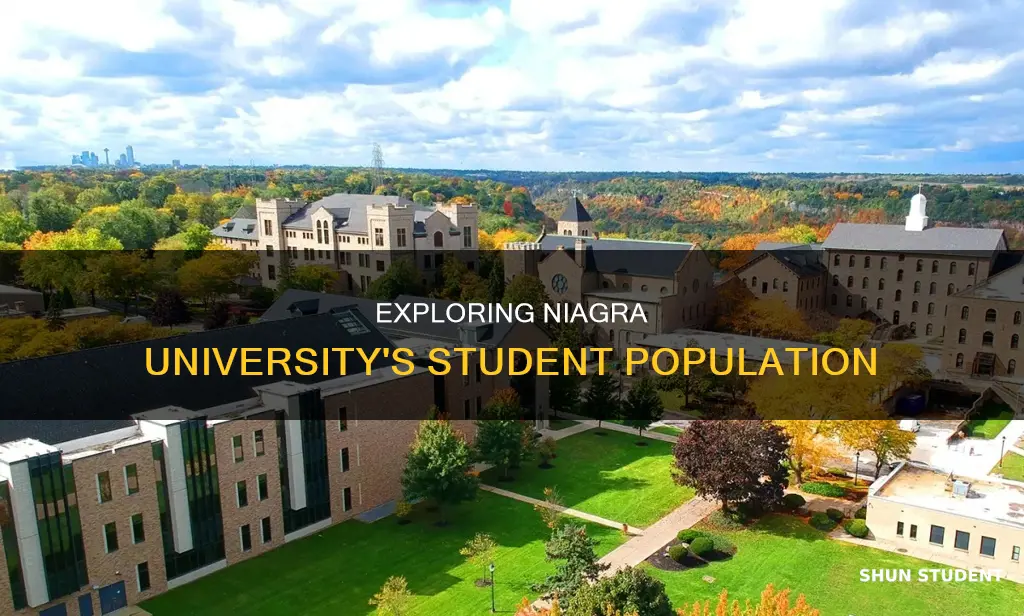 how many students are at niagra university