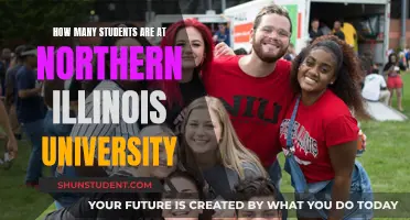 Exploring Northern Illinois University's Student Population