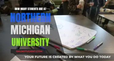 Exploring Northern Michigan University's Student Population