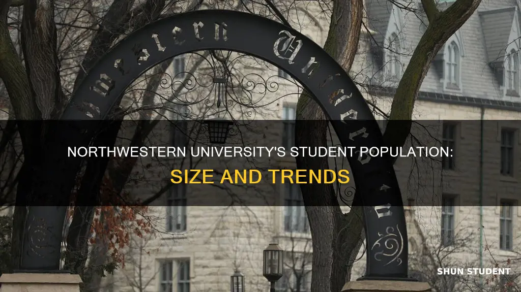 how many students are at northwestern university