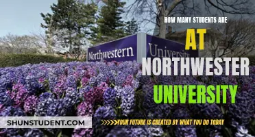 Exploring Enrollment: Northwestern University's Student Population