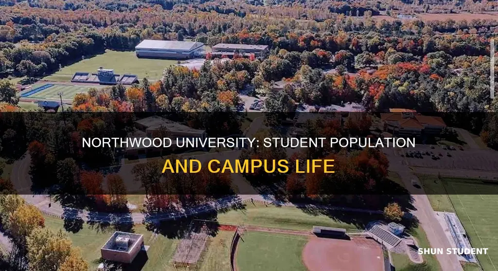 how many students are at northwood university