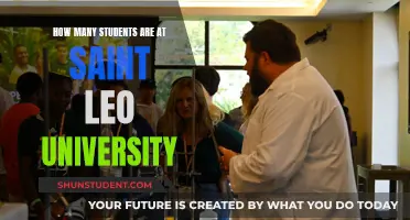 Saint Leo University: Current Student Population and Insights