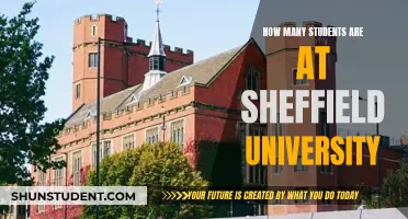 Sheffield University Student Population: How Many Are There?