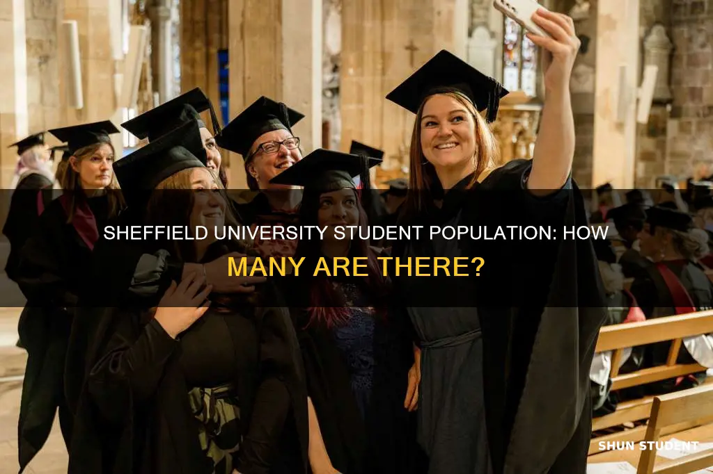 how many students are at sheffield university