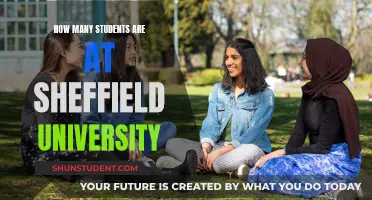 Sheffield University's Student Population: How Many?