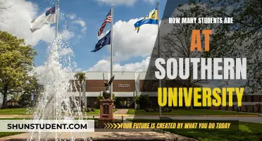 Exploring Southern University's Student Population