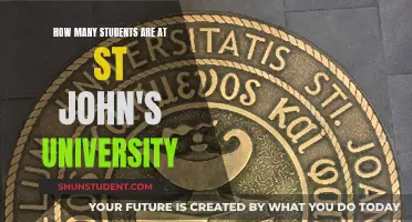 St. John's University: A Student-Centric Community