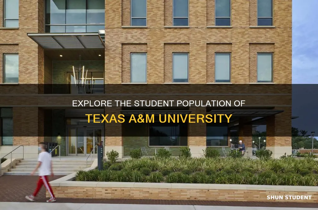 how many students are at tamu university