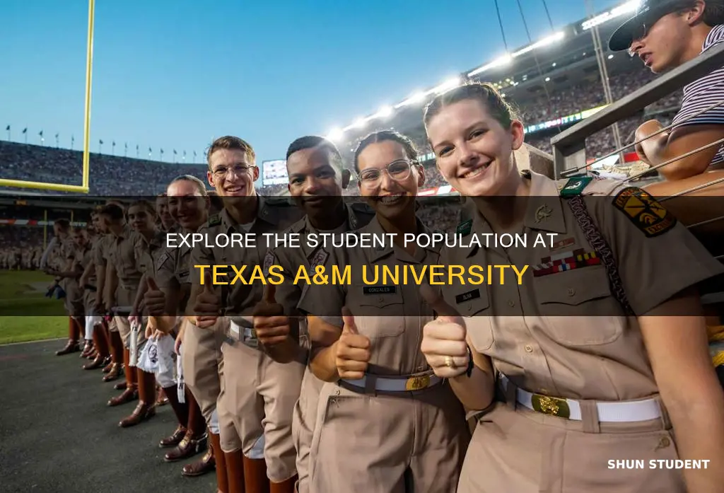how many students are at tamu university