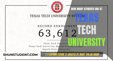 Exploring Enrollment: Texas Tech University's Student Population