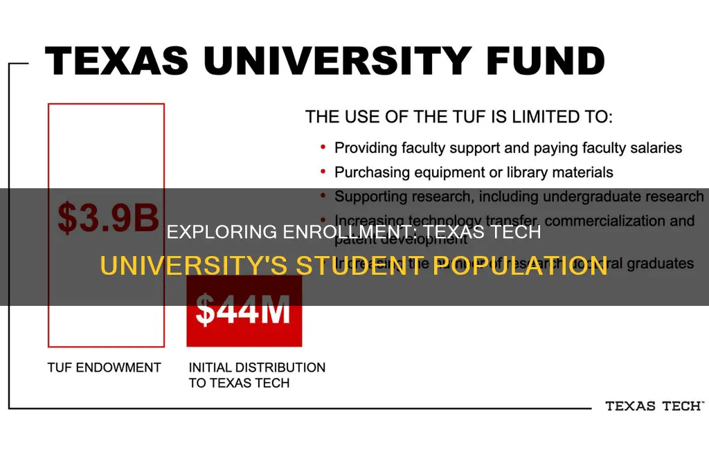 how many students are at texas tech university