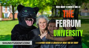 Exploring Enrollment: Ferrum University's Student Population