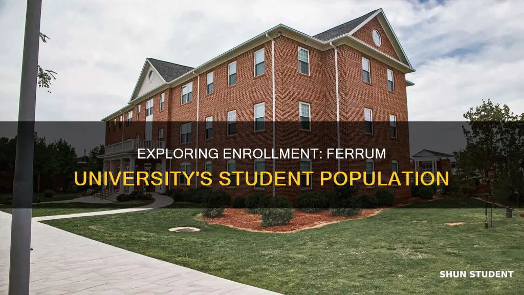 how many students are at the ferrum university