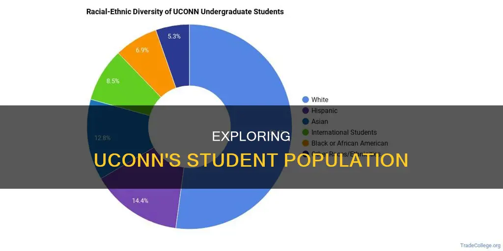 how many students are at the university of connecticut