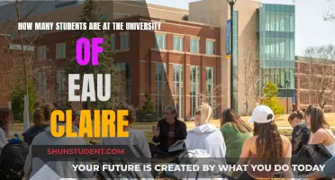 University of Eau Claire: Student Population Insights