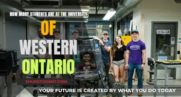 Western Ontario University: Student Population Insights