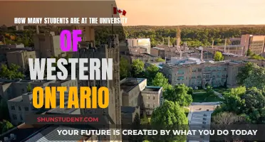 Western Ontario University: Student Population Insights