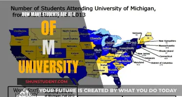 The Student Population of U of M University