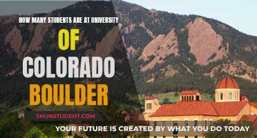 Exploring University of Colorado Boulder's Student Population