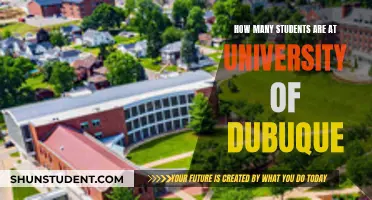 Dubuque University's Student Population: How Many?