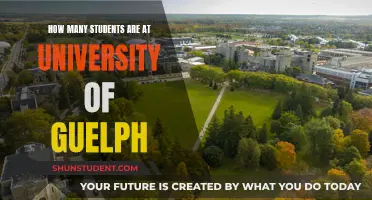Guelph University Student Population: A Comprehensive Overview